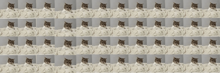 Jcat